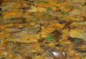 Moteles en Cali Motel Kiss Me Comida Rica